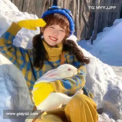 周辰弋